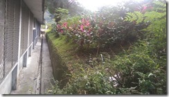 IMAG3734