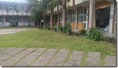 IMAG3733