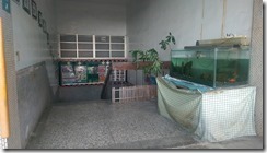 IMAG3739