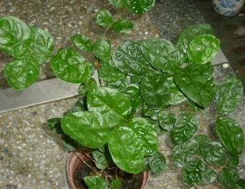 clip_image008