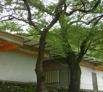 clip_image004