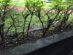 clip_image004