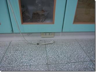 P1180305