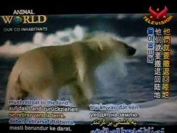 clip_image004[4]