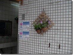 SANY0033