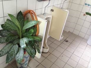 clip_image002
