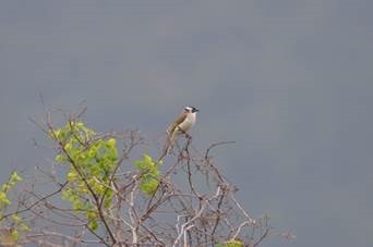 clip_image022