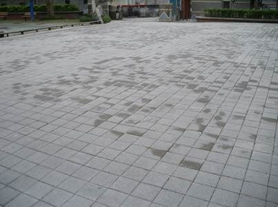clip_image004