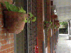 clip_image002[4]