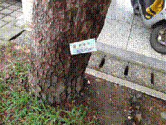 clip_image002[6]