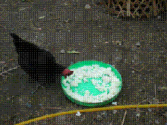 clip_image002[8]