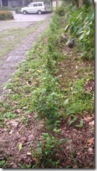 clip_image002[8]
