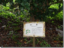 植物標示牌4