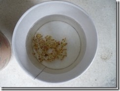 clip_image001
