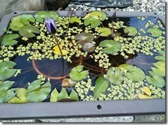 clip_image004