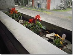 clip_image002[6]