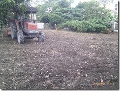 IMAG0253