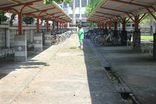 6517-3204863.jpg