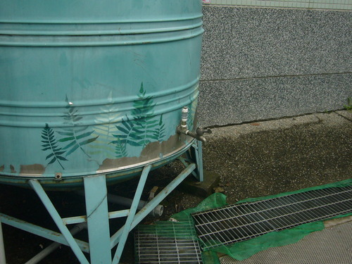 6517-2720047.jpg