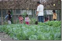 田園課程