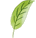 clip_image001