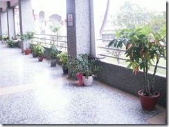 PICT0020