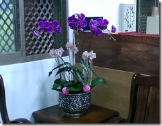 IMAG0442