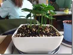 clip_image040
