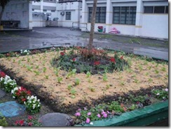 clip_image006