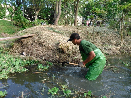pic2.jpg