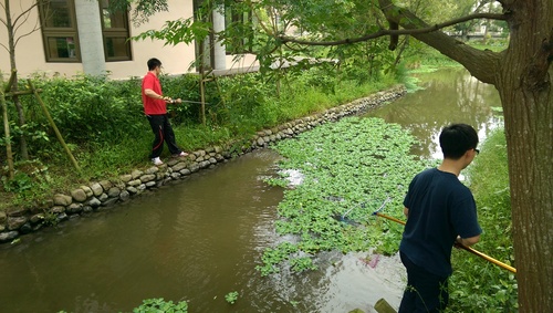 pic3.jpg