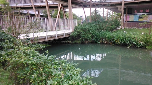 pic5.jpg