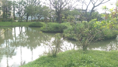 pic7.jpg
