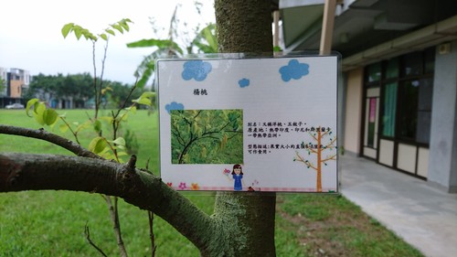 85.jpg