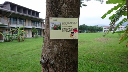 86.jpg