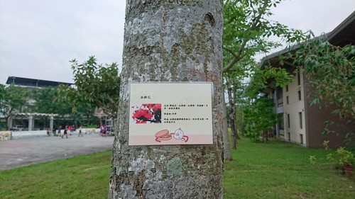 87.jpg