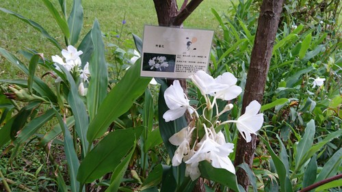 88.jpg