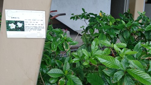 89.jpg