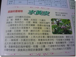 clip_image001
