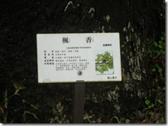 clip_image013