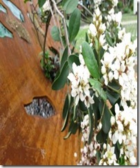 clip_image006