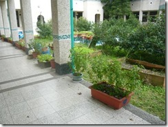 clip_image004