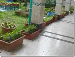 clip_image006