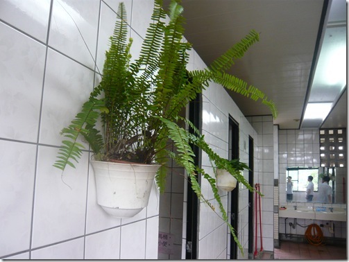 P1160849