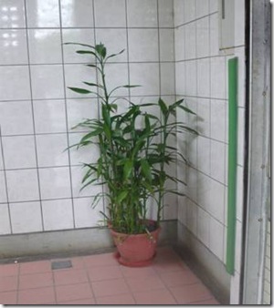 clip_image002