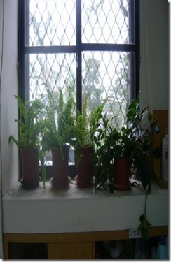 clip_image008