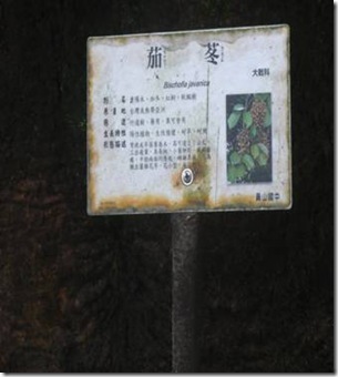 clip_image010