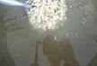 clip_image049
