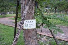 clip_image002