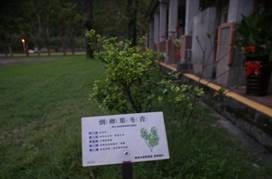 clip_image004